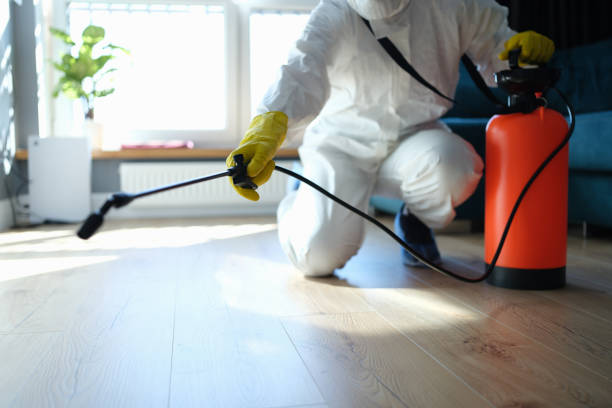 Affordable Sewage Cleanup solutions in Springdale, MD